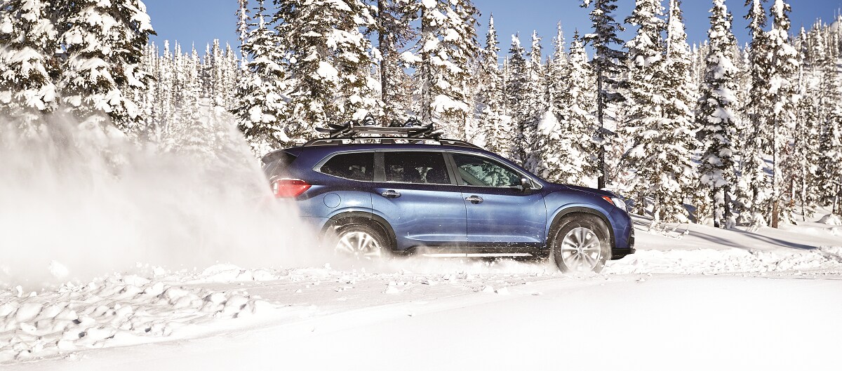 2019-Subaru-Ascent-Snow.png