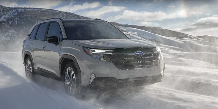 Capability and Efficiency