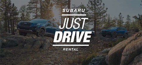 2024 Subaru Solterra Boston, MA