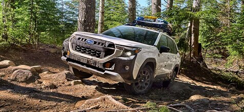 Versatile Capability