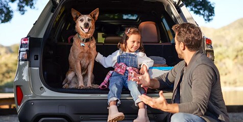 a trusted investment