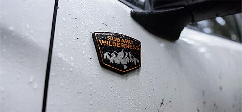 Engineered for Endless Adventure and Lasting Value