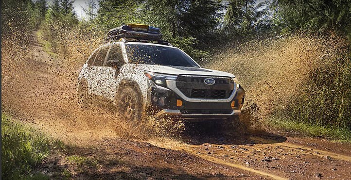 Love of adventure, elevated.