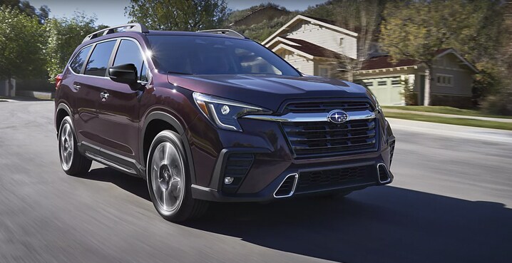 Love of adventure, elevated.