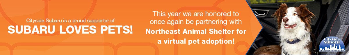 Pets1200x37523 2020 .jpg