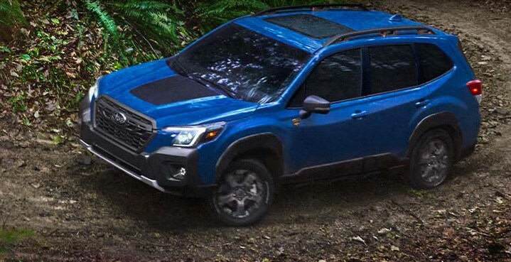 standard eyesight driver assist technology