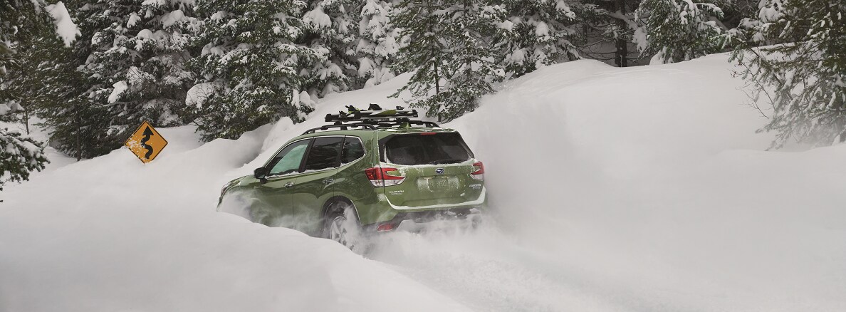2019-Subaru-Forester-Rear-Snow.png