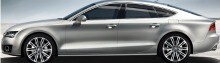 Aviary audi-ca Picture 1.jpg