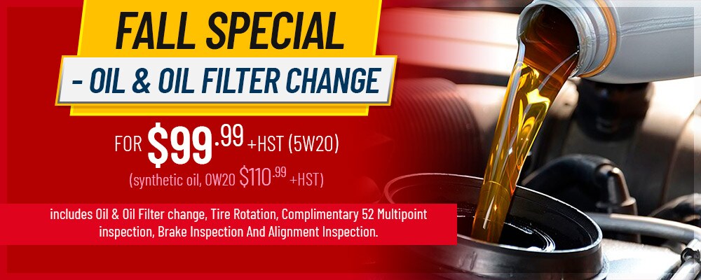 Oil & Oil Filter Change