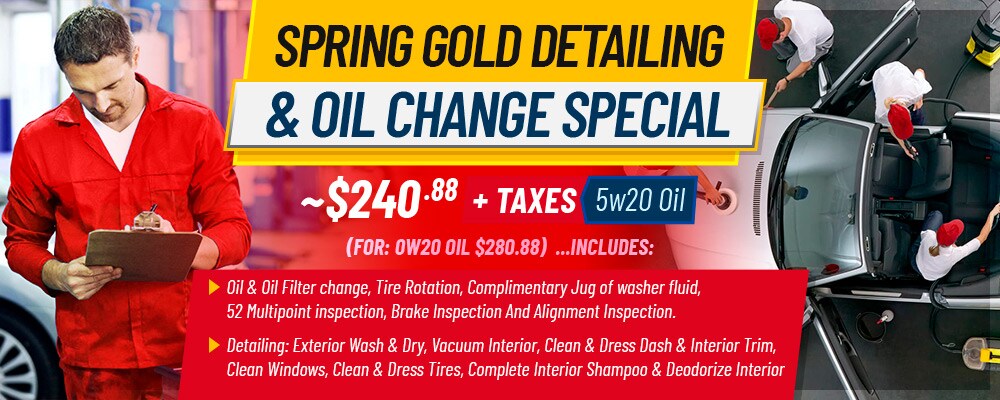 Winter-Gold-Detailing-and-oil.jpg