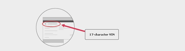vin-3.jpg