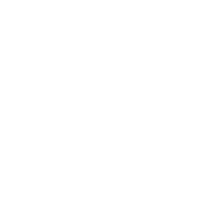 syc-img-payments.png