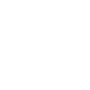 syc-img-above.png
