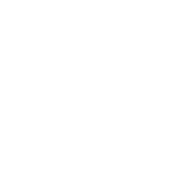 syc-img-terms.png