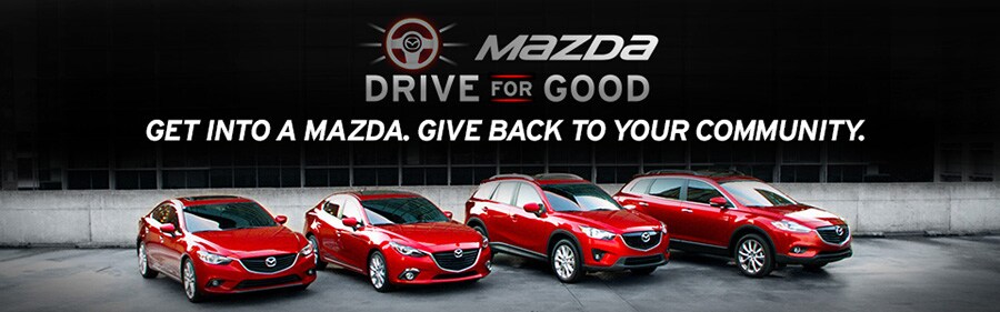 drive4good landing page.jpg