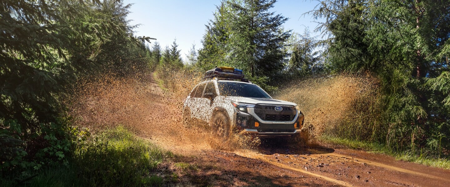 Subaru Wilderness