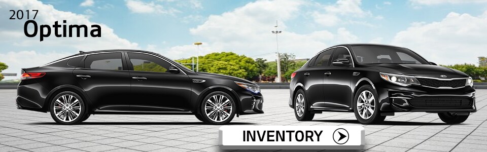 Optima Header.jpg