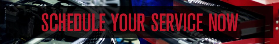 Schedule Your Service