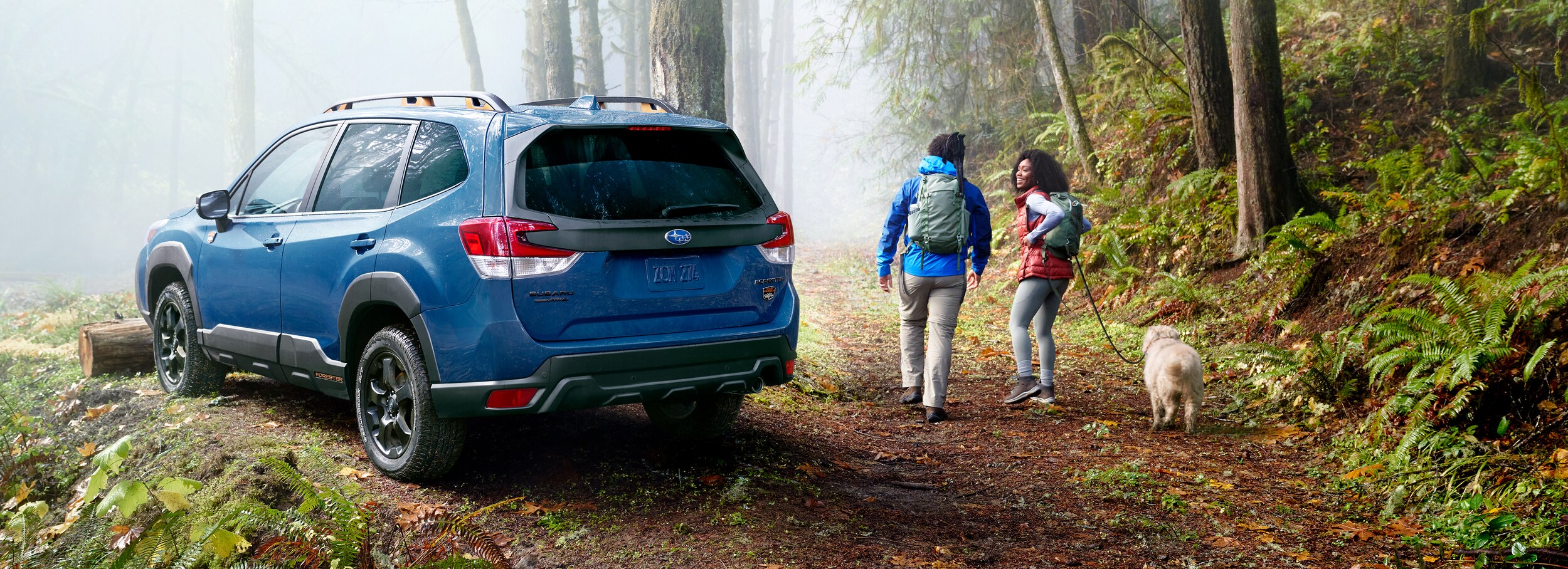 New Subaru Forester Wilderness Boston MA