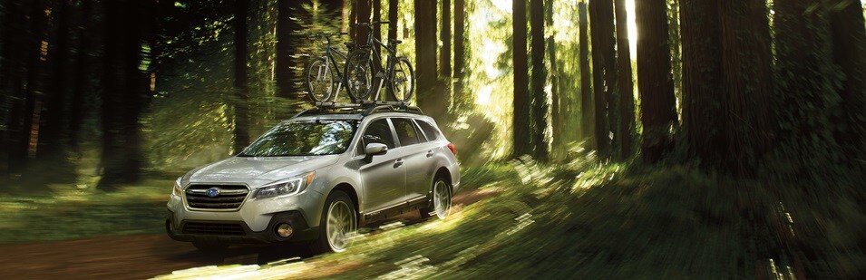2019 Subaru Outback Rochester