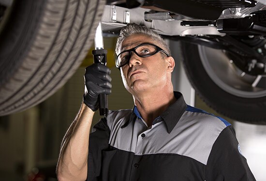 100+ Point Dealer Inspection