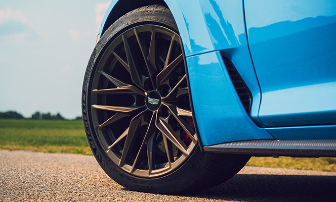 Tire & Wheel Coverage