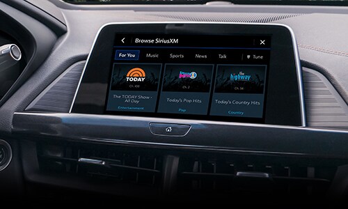 SiriusXM 3-Month Trial Subscription