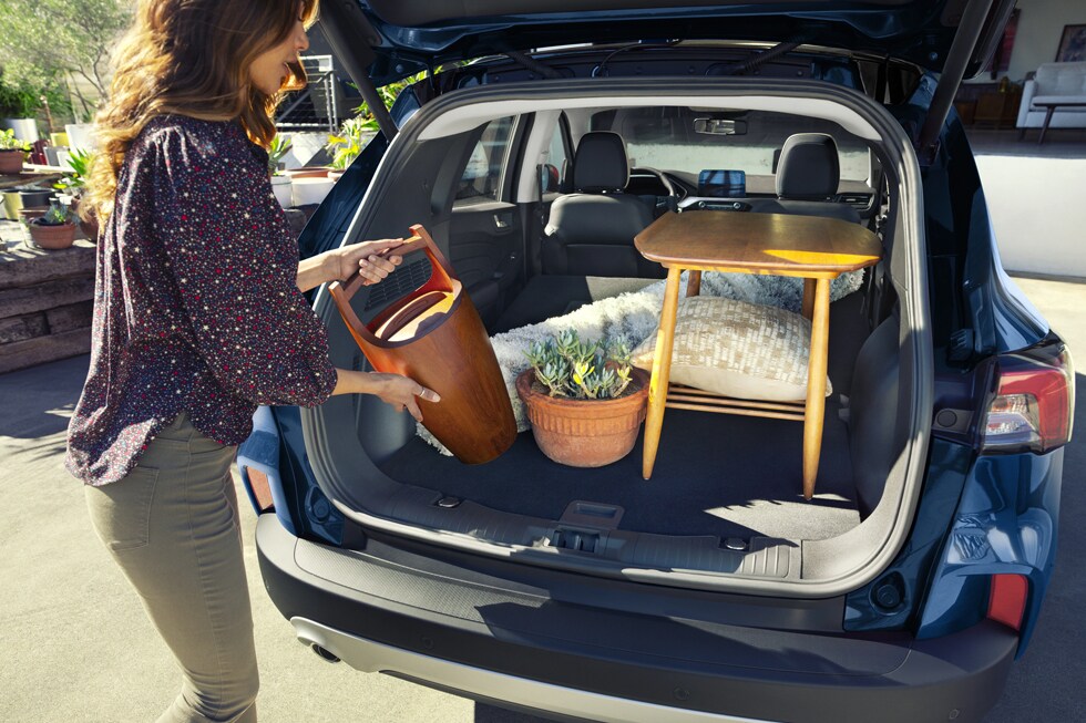 ExtensiveCargoRoom.jpg