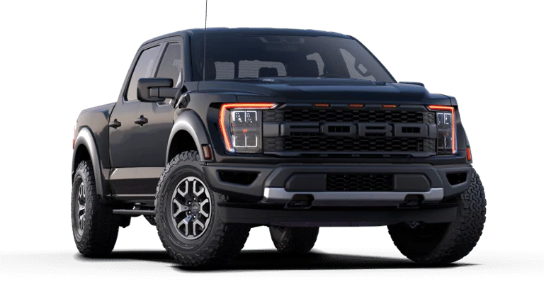 RAPTOR.png