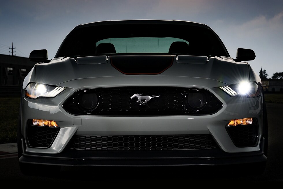 This-Beauty-Is-A-Real-Beast.jpg