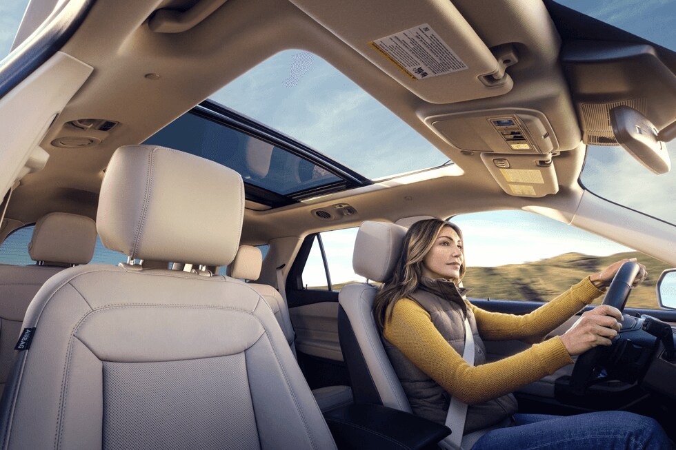 TwinPanelMoonroof.png