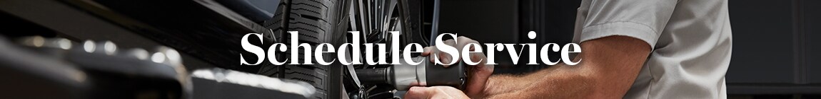 Coccia Lincoln Service Header.jpg
