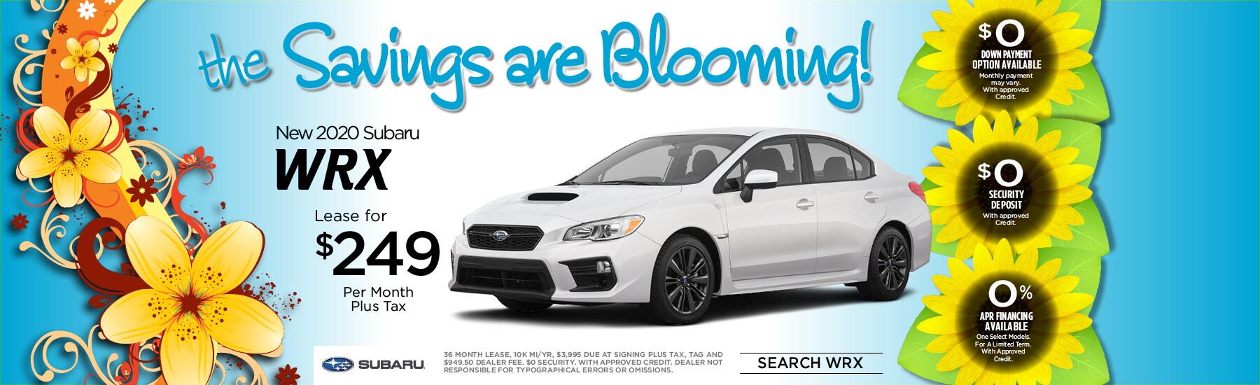 CCSB_W_06695_WRX.jpg