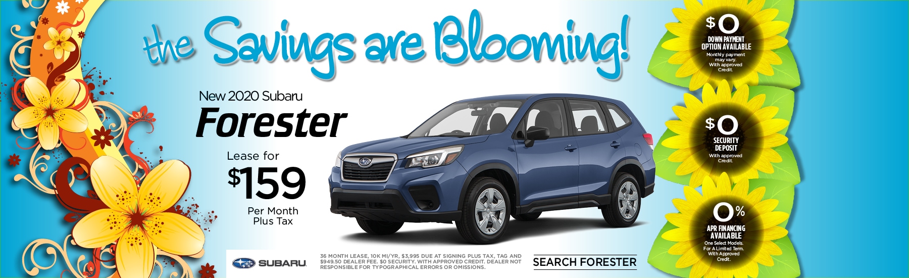 CCSB_W_06694_FORESTER.jpg
