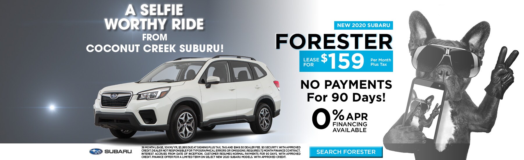 FORESTER.jpg