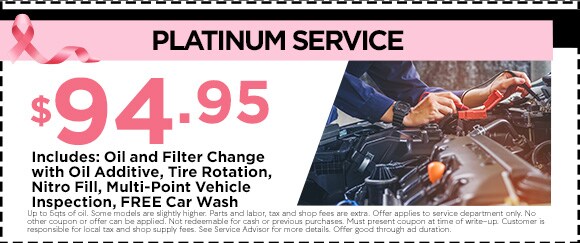 Platinum Service Estero, FL