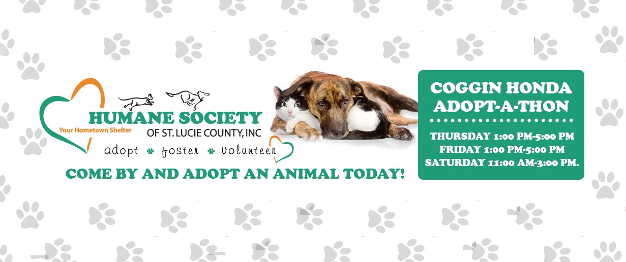 Facebok Animal Adoption.jpg