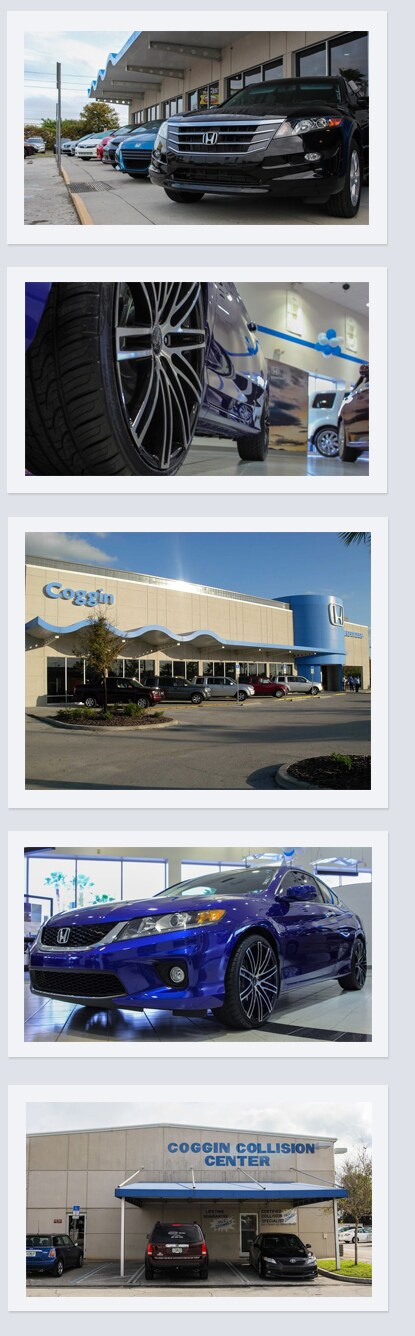 Orlando2.jpg