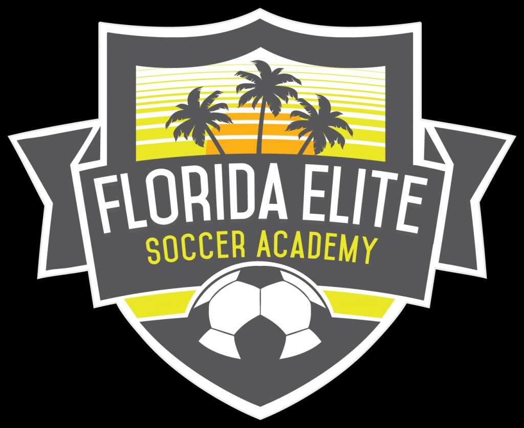 FESA Logo FINAL.png