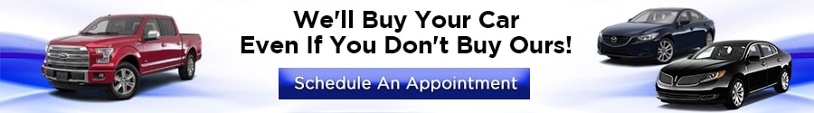 Buy Your Car.png
