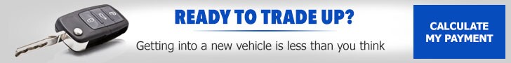 Blue Payment site 728x90.jpg