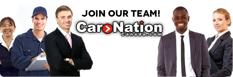 Employment Banner.png