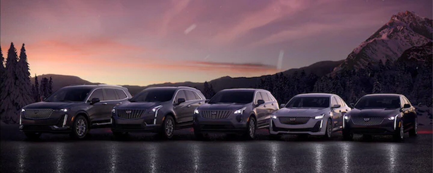 picture of 2024 Cadillac model lineup