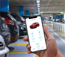 VEHICLE FINDER*