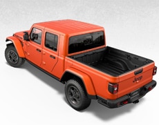 BODY-COLOR HARDTOP