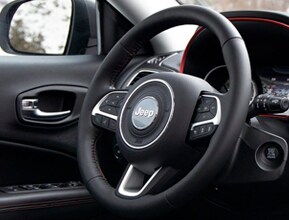HEATED STEERING WHEEL