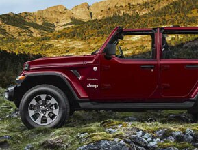 half doorsfull freedom