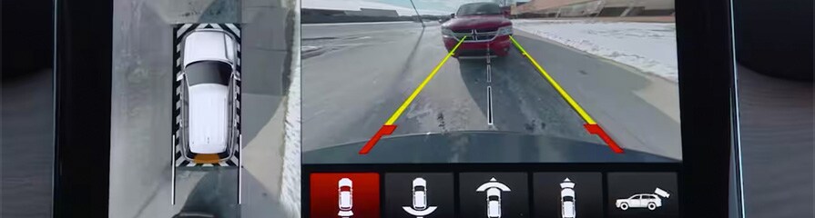 360º surround view camera