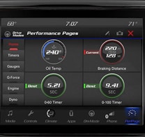 PERFORMANCE PAGES