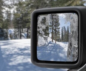 SEE CLEARLY